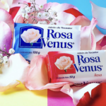 rosa venus